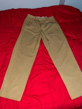 Zara Men's Tan Straight-Leg Pants